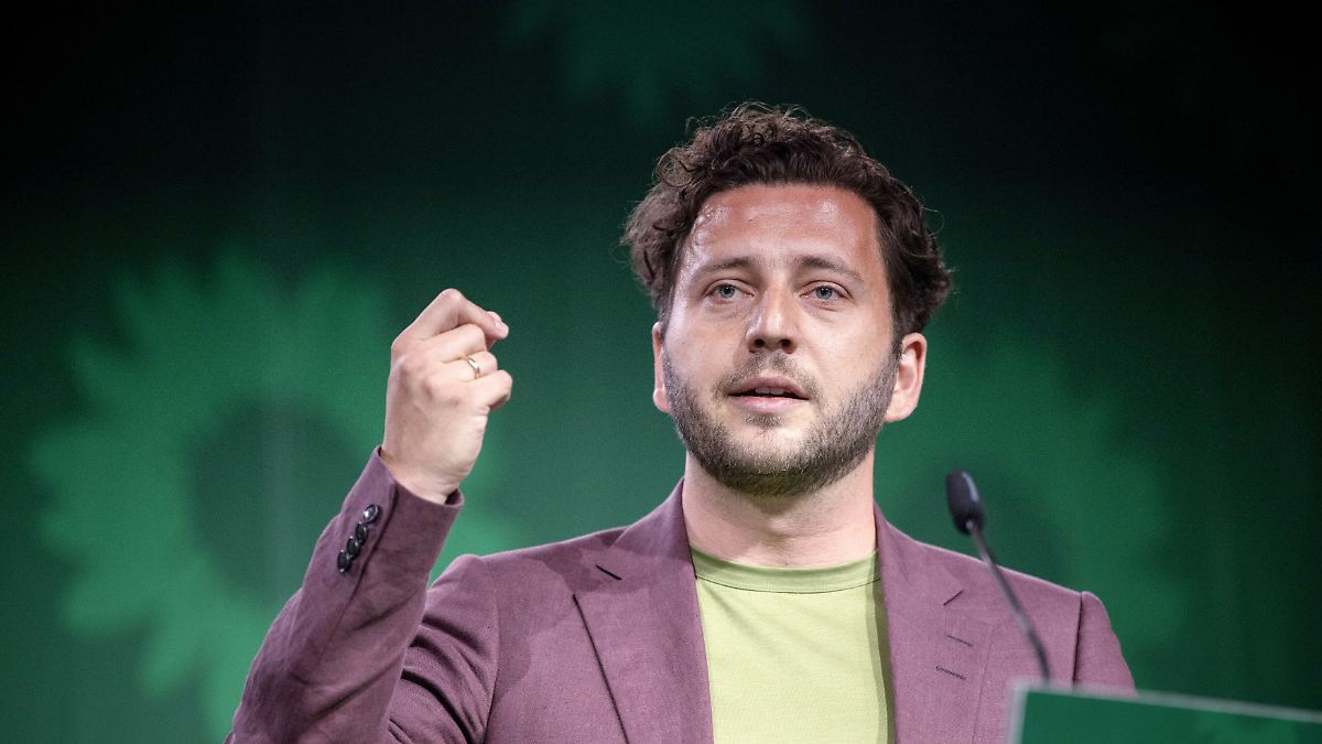 Entsetzte Grüne gehen Merz nach EU-Gipfel hart an