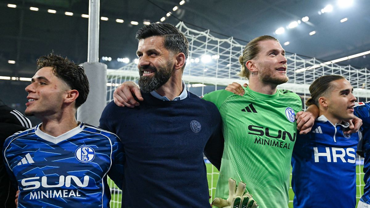 Jungs, hier ist der Muslic-Plan: Schalker Wunderheiler macht Königsblau verrückt