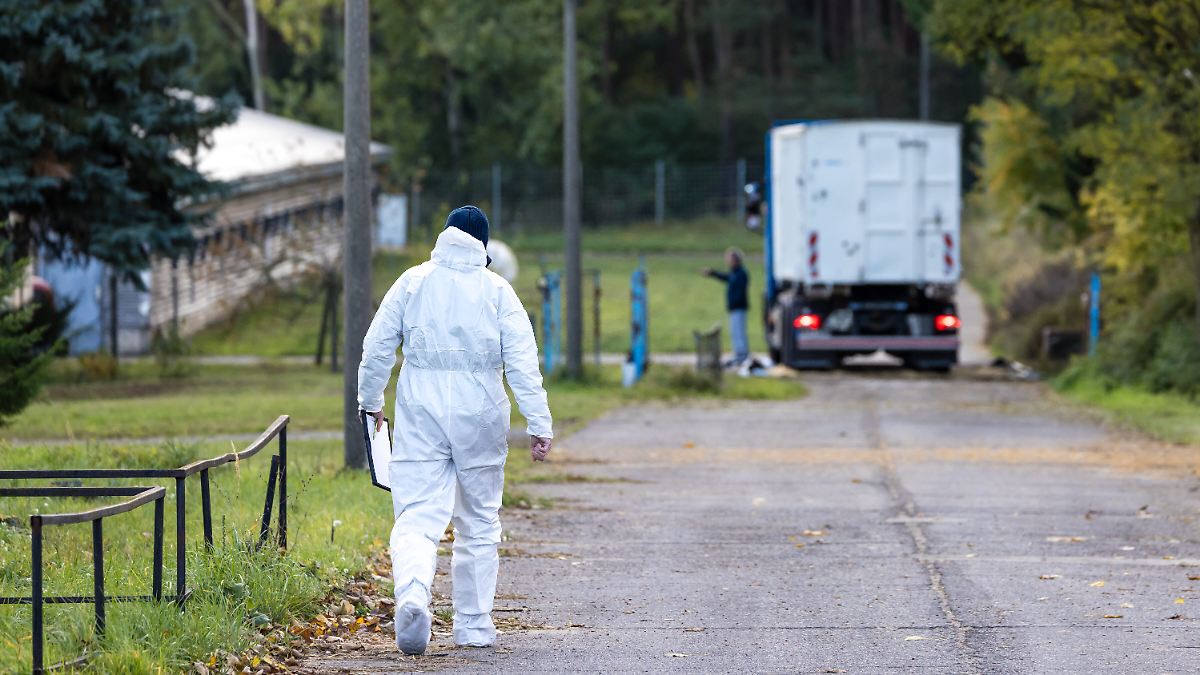 Brandenburger Geflügelhalter müssen 130.000 Tiere töten
