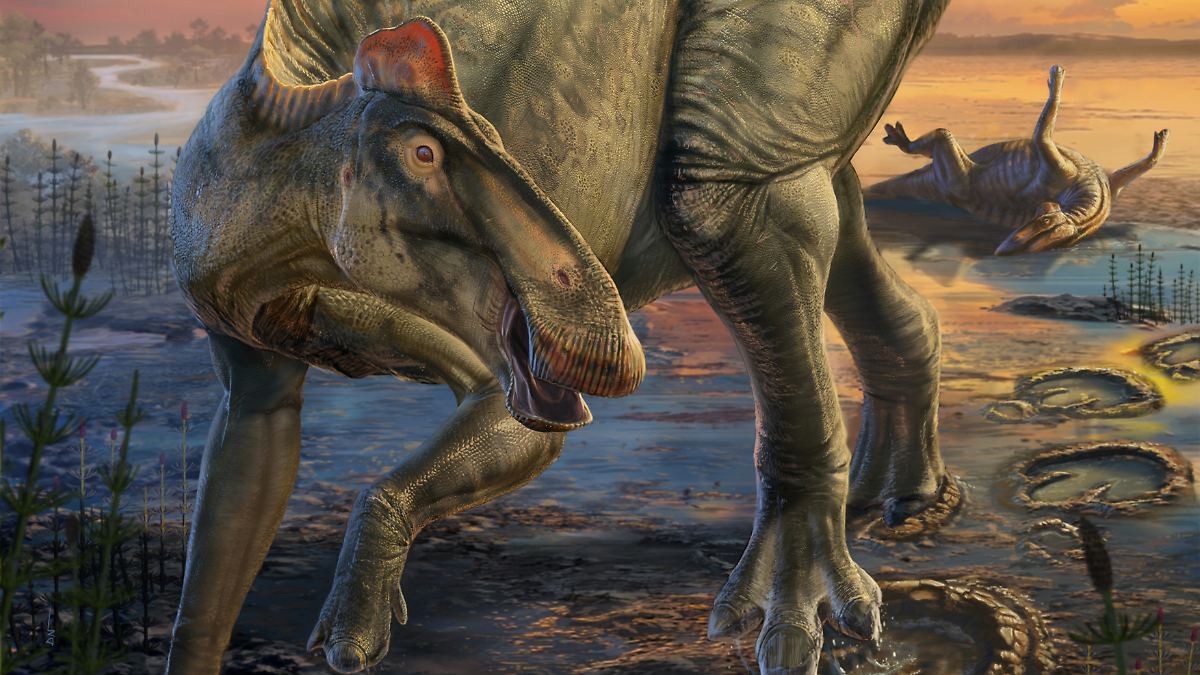 Erstes "vollständiges, detailliertes Bild eines großen Dinosauriers"
