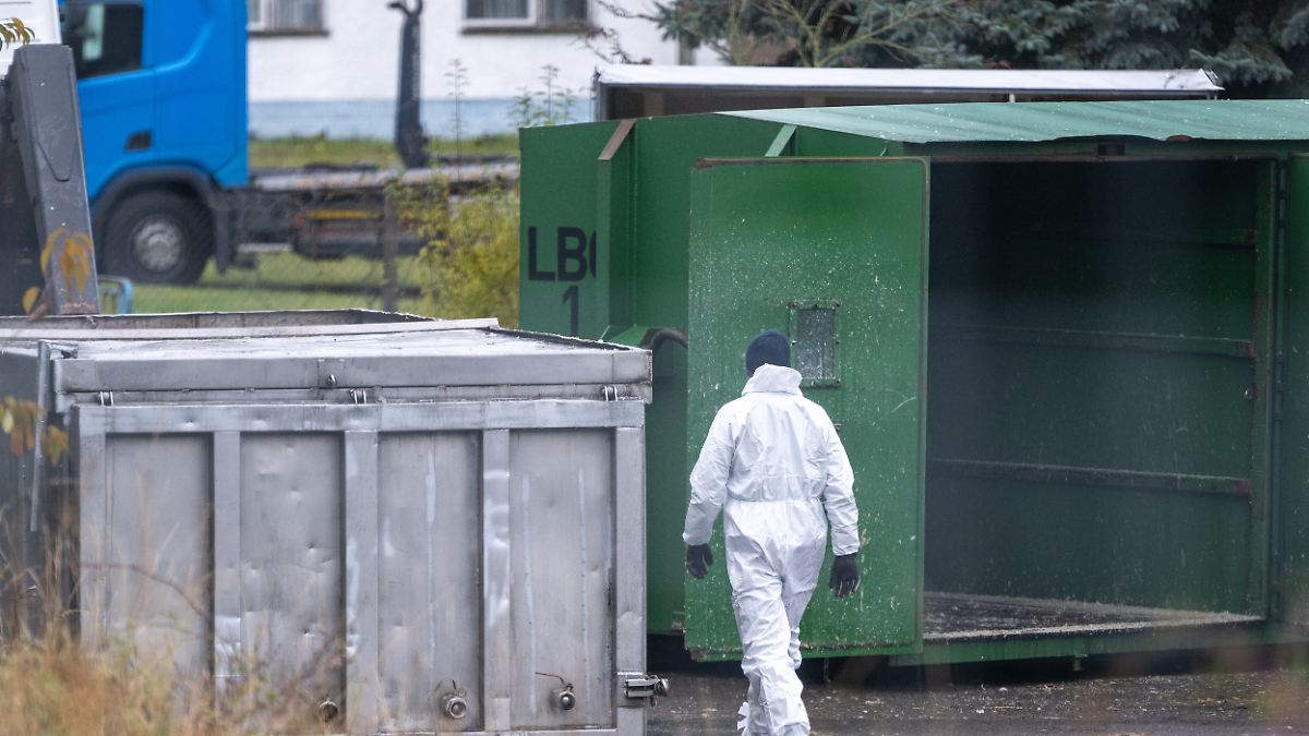 Verband befürchtet steigende Eierpreise wegen Vogelgrippe