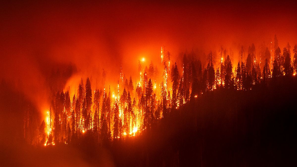 Die Erde ist am Limit