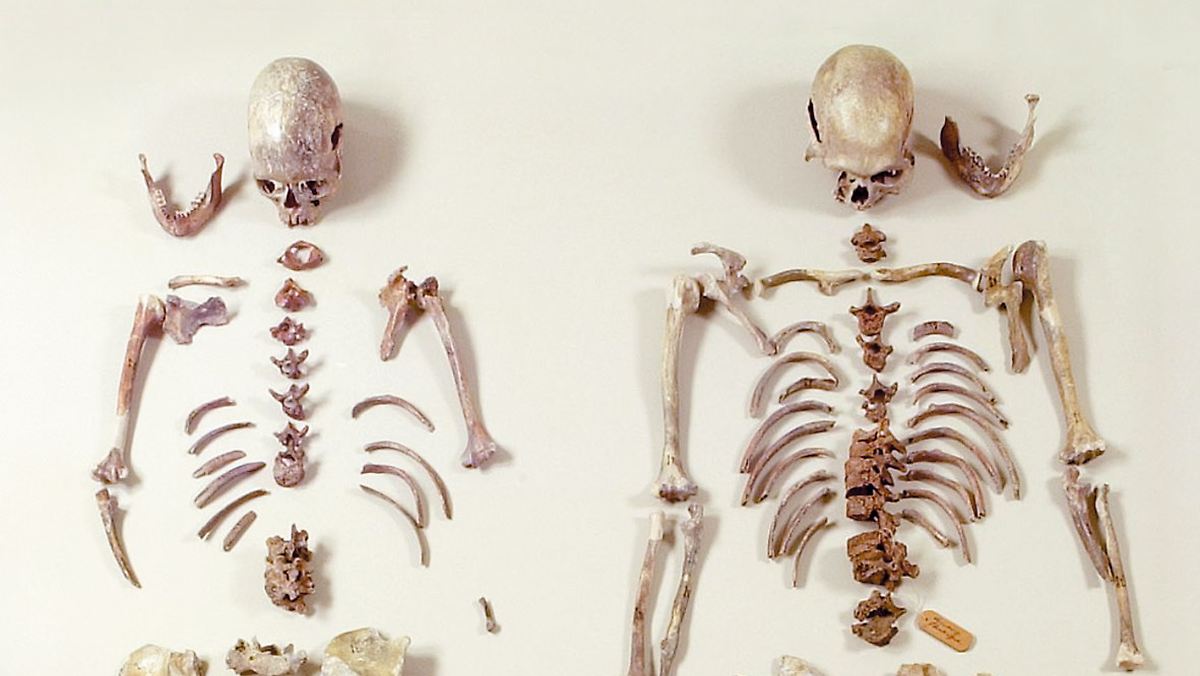 Bundesweit ltester Fund Des Homo Sapiens Eiszeitmenschen Bekommen Ein bundesweit-ltester-fund-des-homo-sapiens-eiszeitmenschen-bekommen-ein