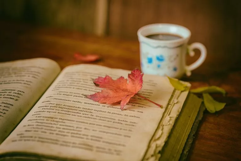 Lesen
