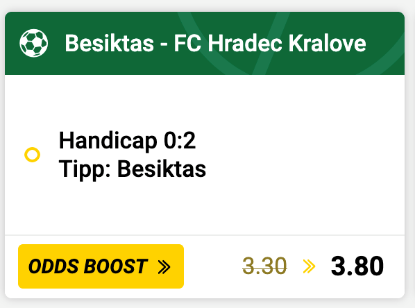 Besiktas Istanbul – FC Hradec Kralove