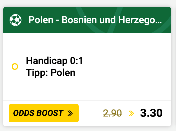 Polen – Bosnien-Herzegowina