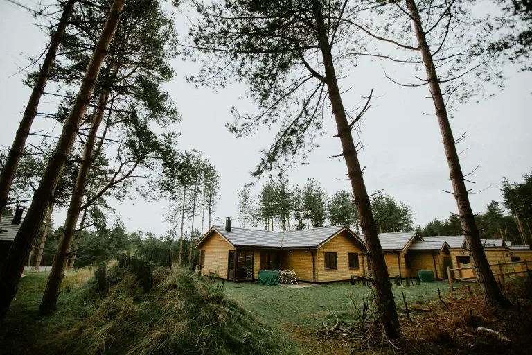 Blick zwischen BÃÂäumen hindurch auf ein gelbes Ferienhaus. Eine Ferienwohnung Website erstellen ist nicht alles âÃÂàdu musst dein Angebot auch noch bekannt machen!
