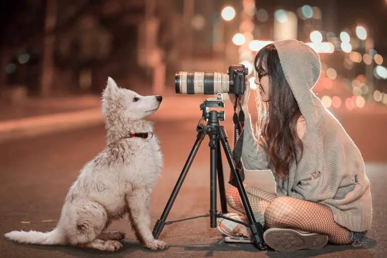 ein Mädchen sitzt mit einer Kamera auf dem Boden und fotografiert einen Welpen, der vor einer Kamera sitzt